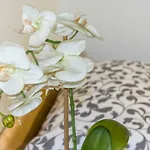 Apartamento La Campanella Modena