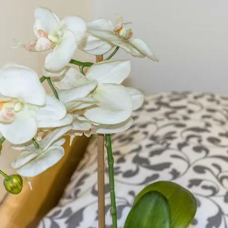 Lägenhet La Campanella Modena