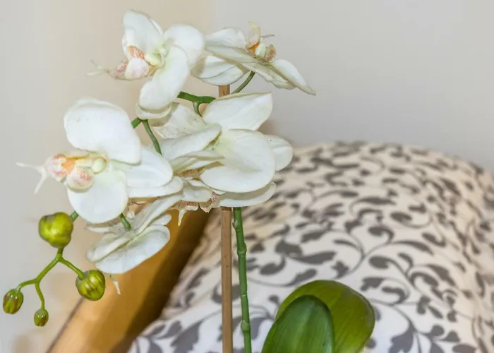 Lägenhet La Campanella Modena